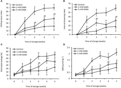 γ-Aminobutyric acid is involved in overlapping pathways against chilling injury by modulating glutamate decarboxylase and defense responses in papaya fruit